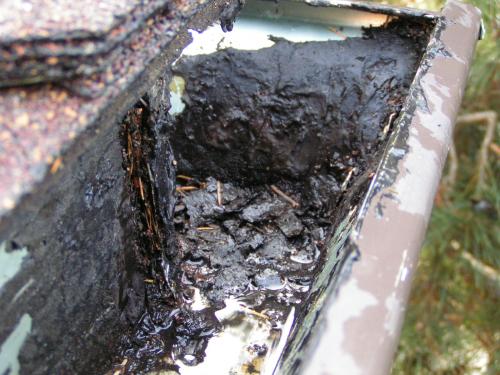 Gutter Service Repair Port Angeles Sequim 2